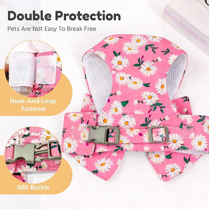 BAEJMJK Dog Harness and Leash Set - Image 6
