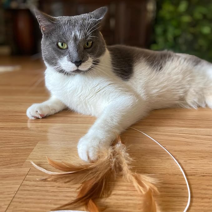 SPOT Fishing Rod 'N Reel Kitty Teaser - Image 3