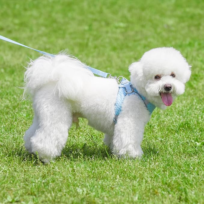 Tiny Dog Harness, All Weather Diamond Mesh, Reflective Stripes, No Pull Step in - Image 7