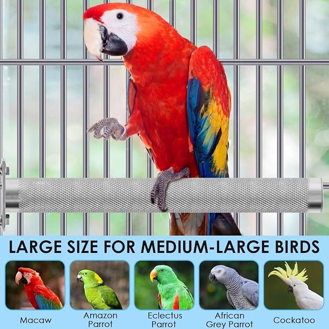 KATUMO Conure Perch - Image 7