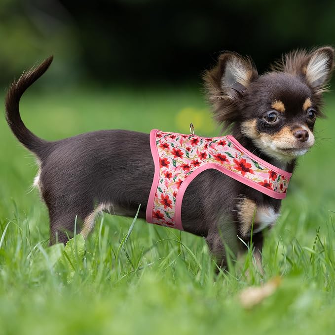 Mile High Life Dog Harness, Air Mesh Floral Vest Harness - Image 8