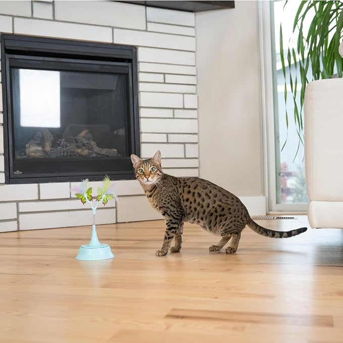 Catstages 2-in-1 Bouncy Flutter Bug Spring Cat Toy – Interactive Standalone or - Image 7