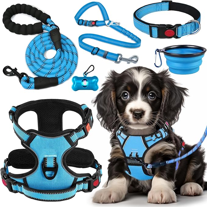 No Pull Dog Harness, Collar & Leash Set by Lovebegetslove