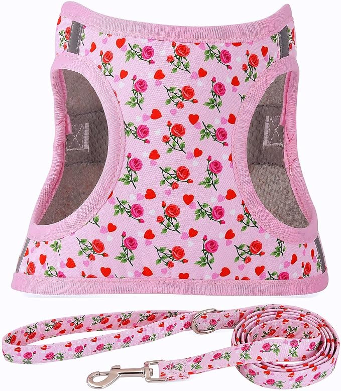 Moonpet Step in Valentine's Day Dog Harness Leash Set- All Weather Reflective by MOONPET