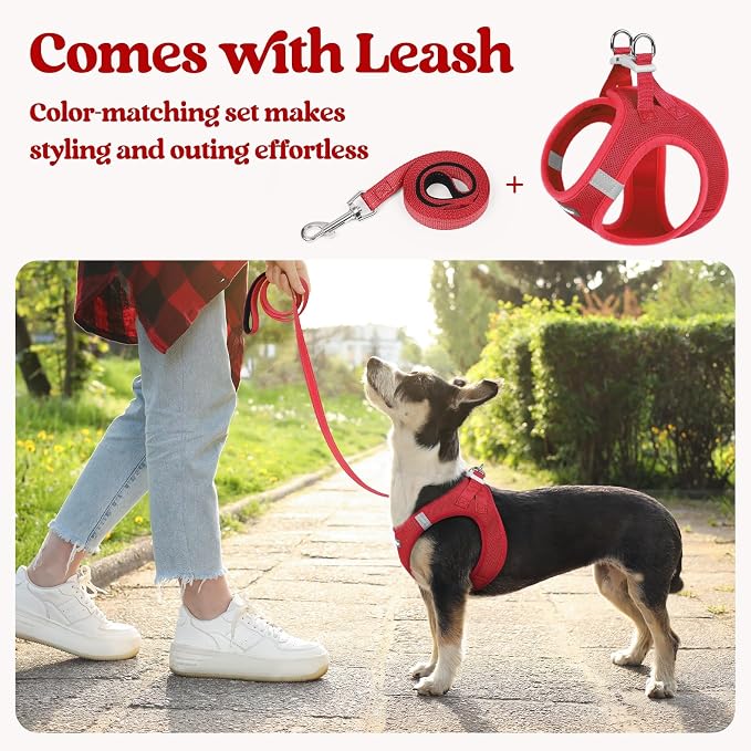 rabbitgoo Dog Harness Small Sized and Leash Set, Step in Soft Light Puppy Vest - Image 5