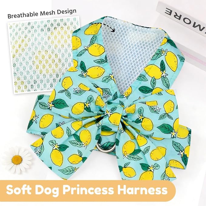BAEJMJK Dog Harness and Leash Set - Image 5