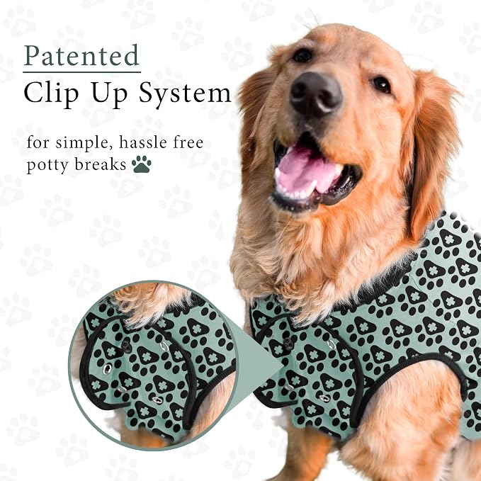 BellyGuard Dog Surgery Recovery Suit, Dog Onesie - Image 7