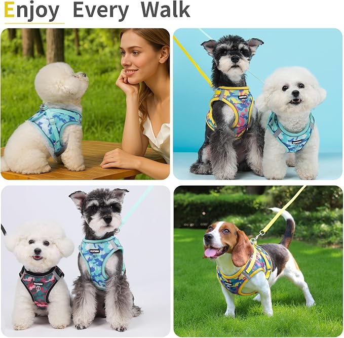 Step in Dog Harness with Leash Set, Adjustable Soft Padded and Breathable Mesh - Image 6