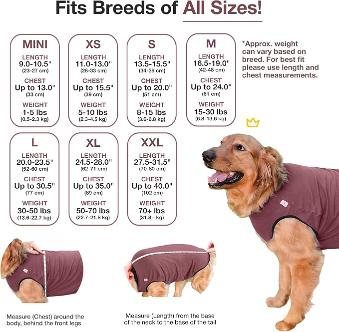 BellyGuard Dog Surgery Recovery Suit, Dog Onesie - Image 3