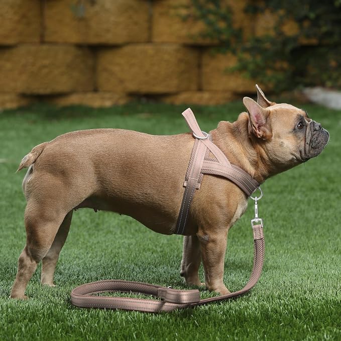 Plutus Pet No Pull Dog Harness - Image 5