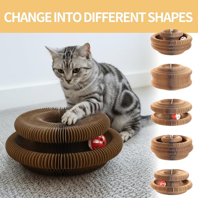 Magic Organ Cat Scratcher Board, Cat Ball Adventure The Ultimate Interactive - Image 2