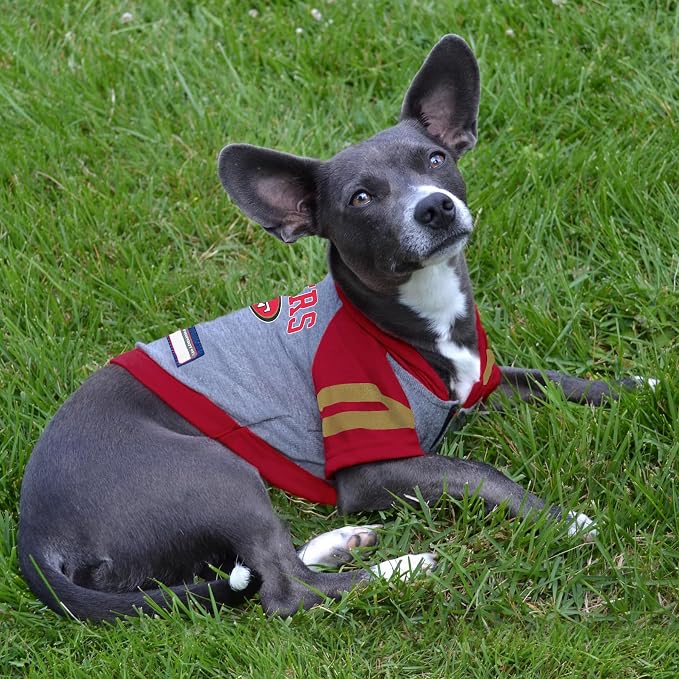 Pets First NFL SAN Francisco 49ERS Hoodie - Image 4