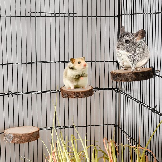 18 PCS Bird Perches Stand Toy, Natural Wood Parrot Perch Stand Bird Cage - Image 6