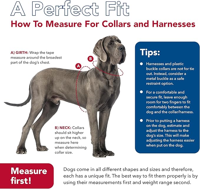 Coastal Pet K9 Explorer Reflective Adjustable Dog Collar - Image 7
