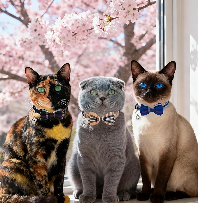 Cat Collar 3pcs Set Classical Plaid Tartan Grid Pattern Detachable Bowtie & - Image 2