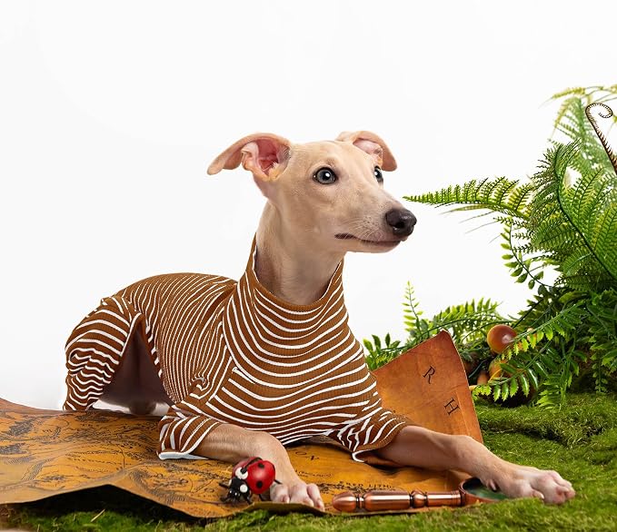 Dog Sweaters for Small Dogs Girls Boys, Striped Pet Sweaters for Fall Winter - Image 5