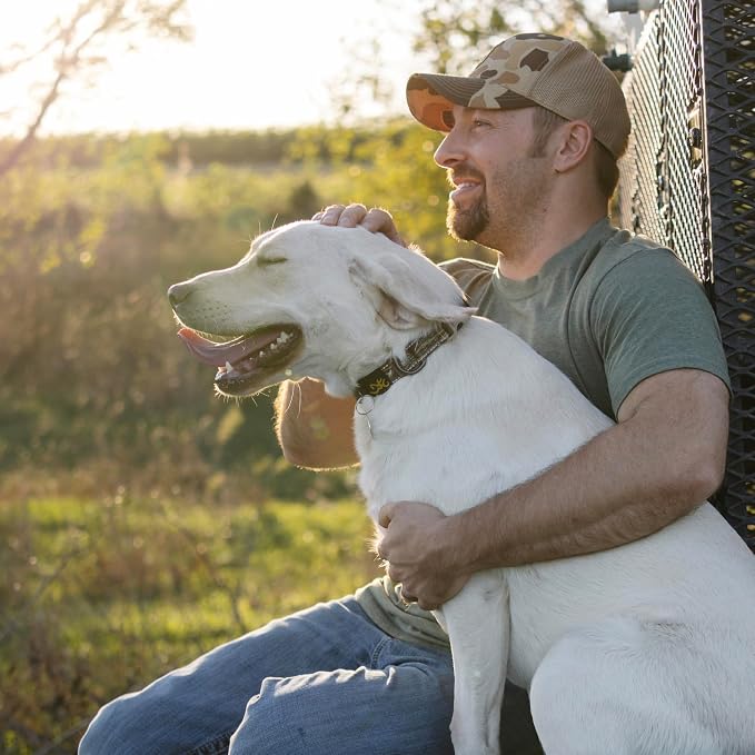 Browning Classic Preformance Webbing Pet Collar, Fully Adjustable, Available in - Image 5