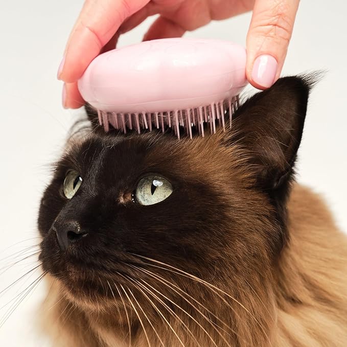 Pet Teezer by Tangle Teezer Cat Brush, De-Shedding Cat Hair Brush - Image 3