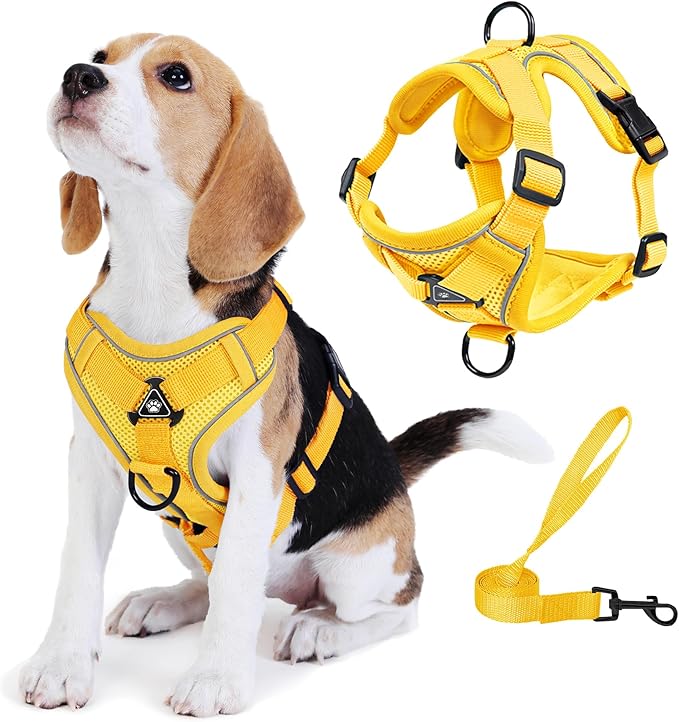 No Pull Dog Harness with Leash Set by Unknown