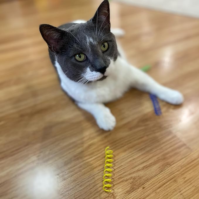 SPOT Colorful Springs Cat Toys – 3" Bouncy Coils - Image 10