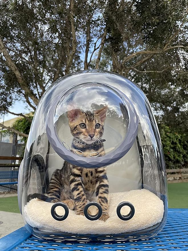 Bubble Cat Carrier Backpack, Transparent Pet Carrier Backpack - Image 6