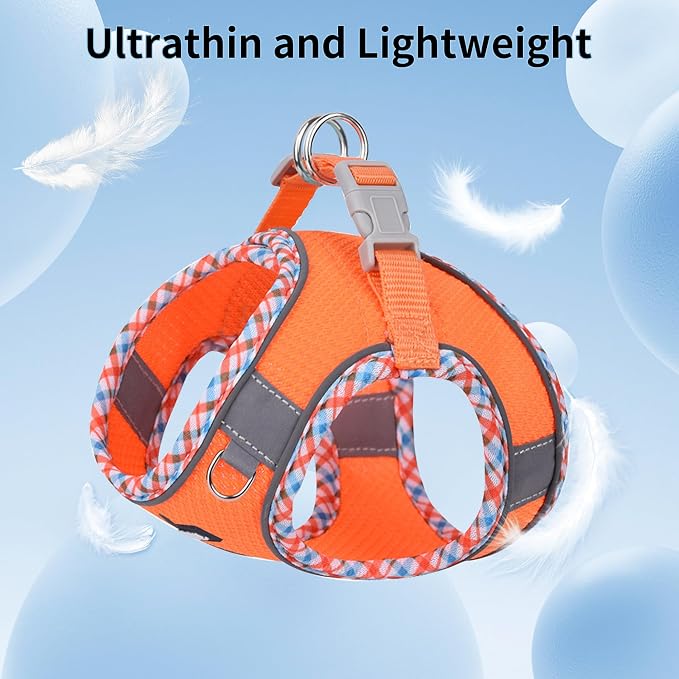 AIITLE Dog Harness and Leash Set - Image 5