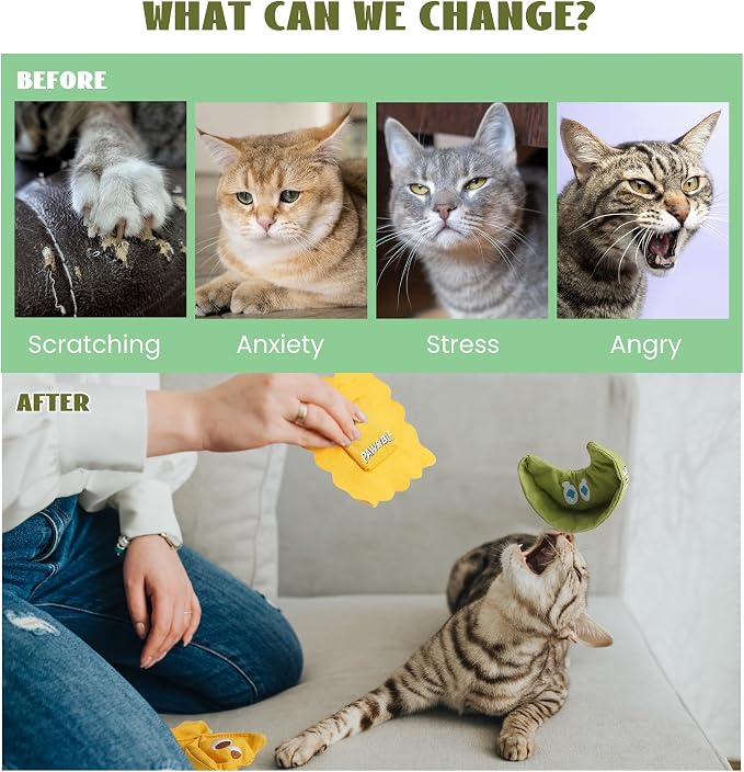 3 Pack Ravioli Catnip Toys for Indoor Cats, Interactive Cat Toys Filled - Image 4