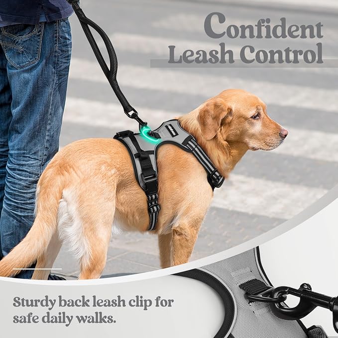 rabbitgoo Dog Harness No Pull - Image 6