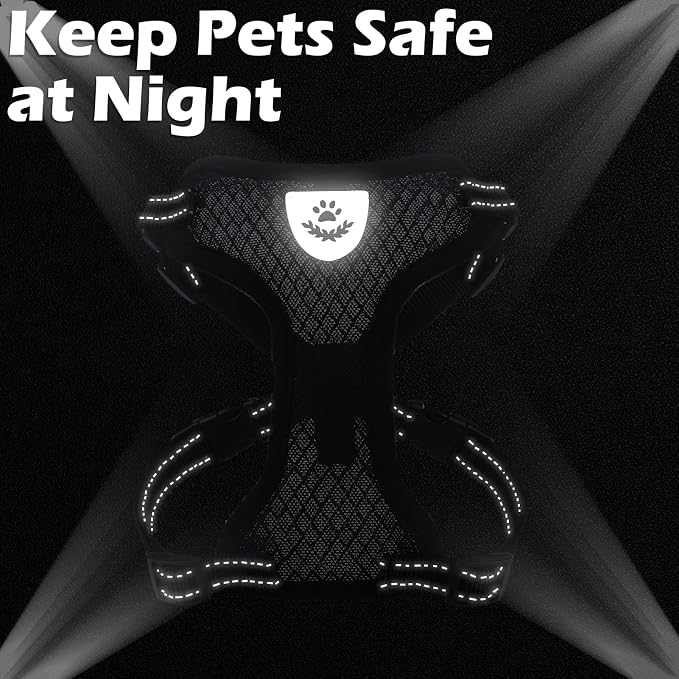 EXPAWLORER Cat Harness and Leash Set - Image 6