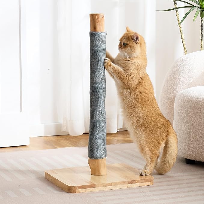 29" Tall Cat Scratching Post for Indoor Cats Adults, Extra-Stable & Natural - Image 7