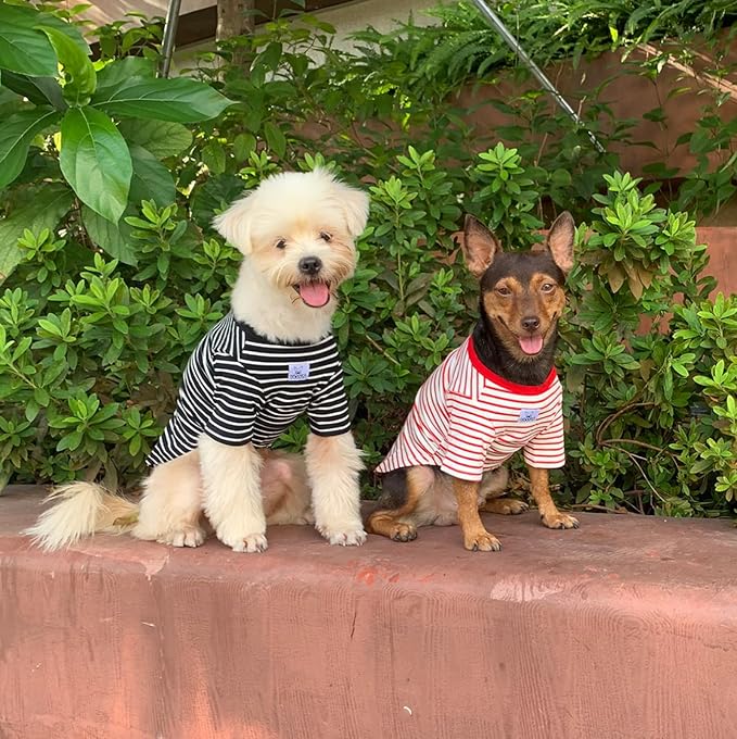 YQYS Pet T-Shirts Thick Striped Cotton Tee Shirt - Image 5
