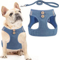 PUPTECK Dog Harness and Leash Set by PUPTECK