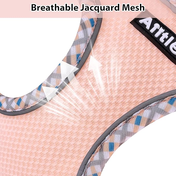 AIITLE XXS Dog Harness & Leash Set - Image 2