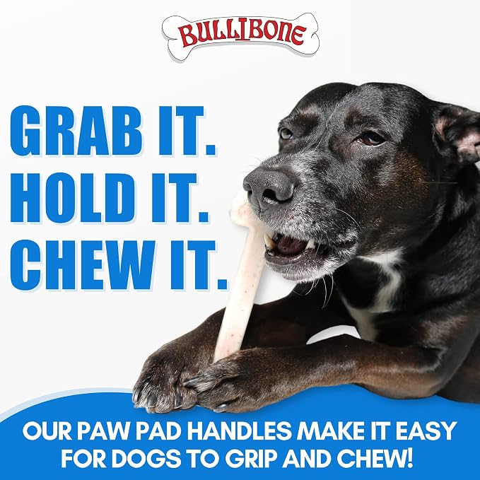 Bullibone Nylon Dog Chew Toy for Aggressive Chewers - Image 4