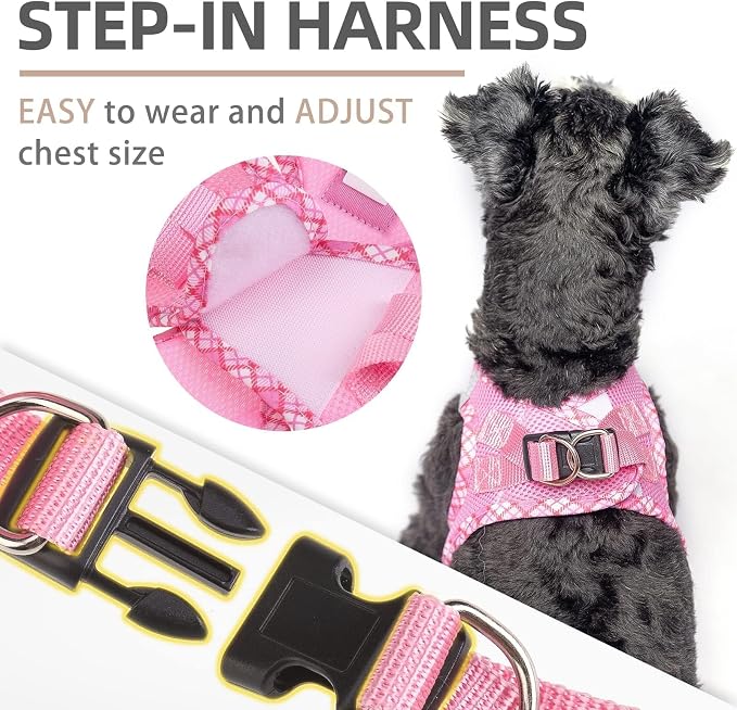 PUPTECK Dog Harness and Leash Set - Image 4