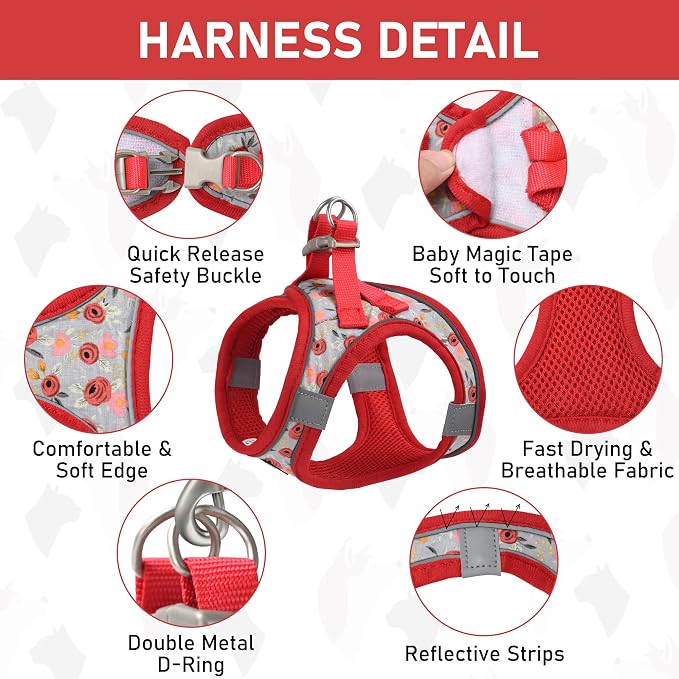 GAMUDA Small Dog Harness Collar and Leash Set, Step in No Chock No Pull Soft - Image 2