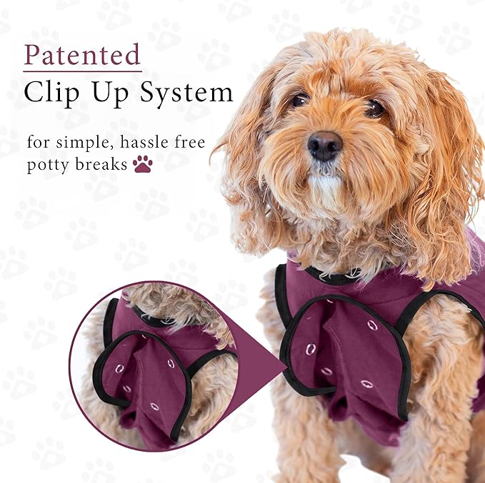 BellyGuard Dog Surgery Recovery Suit, Dog Onesie - Image 5