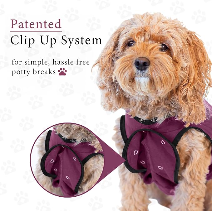 BellyGuard Dog Surgery Recovery Suit, Dog Onesie - Image 5