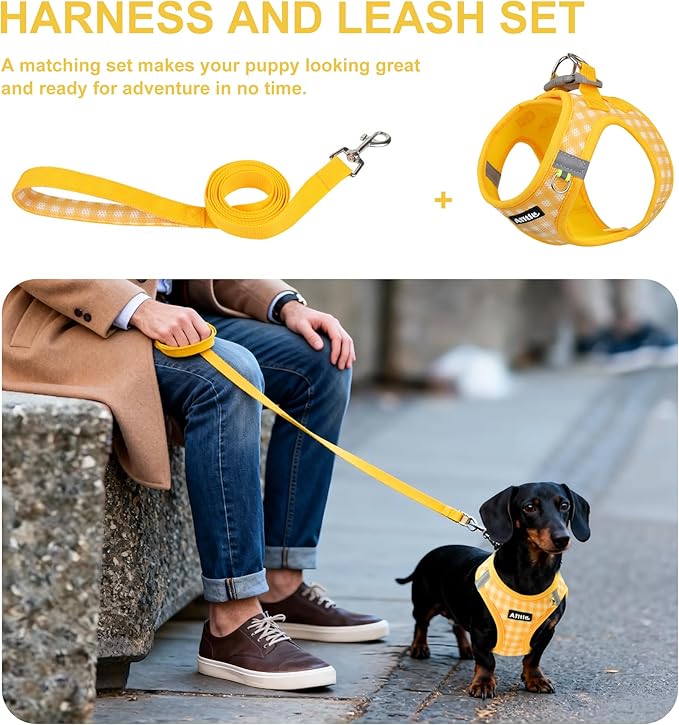 AIITLE Adjustable Dog Harness and Leash Set, Step in No Pull Pet Harness - Image 6
