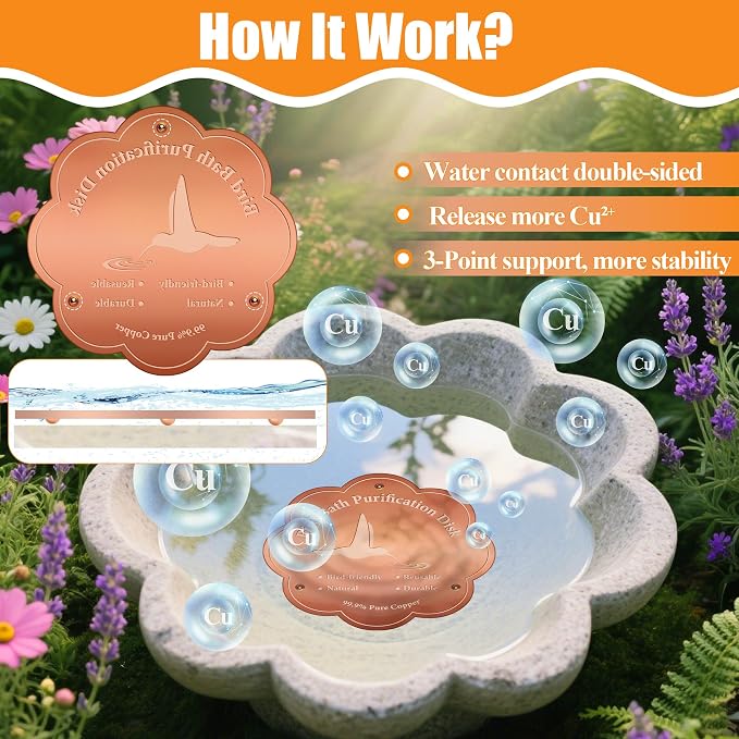 1P 4inches Bird Bath Purification Disk, 99.99% Pure Copper Bird Bath Disc Safe - Image 5