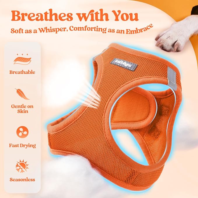 rabbitgoo Dog Harness Small Sized and Leash Set, Step in Soft Light Puppy Vest - Image 3
