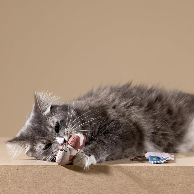 Fringe Studio Catch ME IF You CAN Cat Toy Mini Sets of 3, PetShop Collection - Image 4