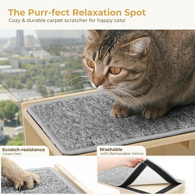 Pecute 2-in-1 Cat Window Perch & Wall Shelves, Cat Hammock Window - Image 6