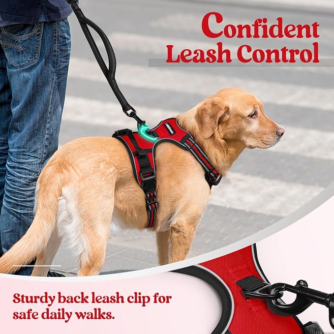 rabbitgoo Dog Harness No Pull - Image 6
