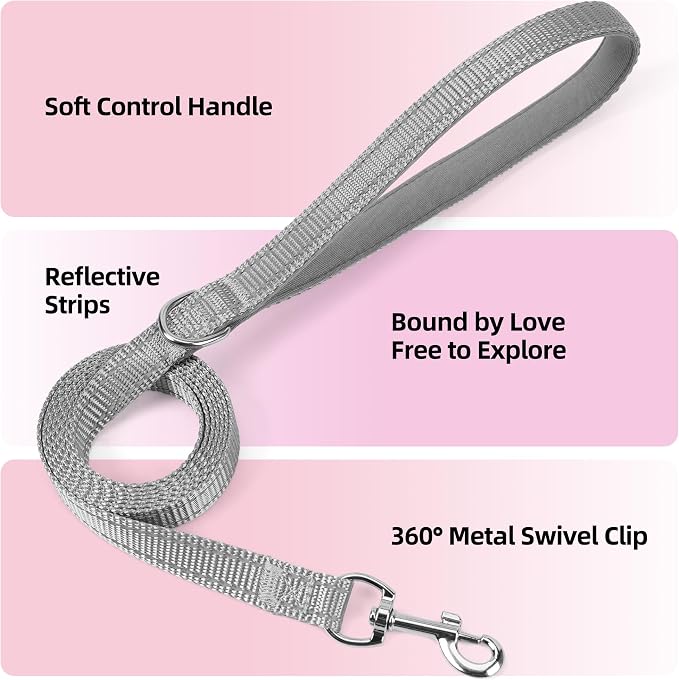 Solmoony Sparkly XS Dog Harness and Leash Set, Step in Soft Light Puppy Vest - Image 3