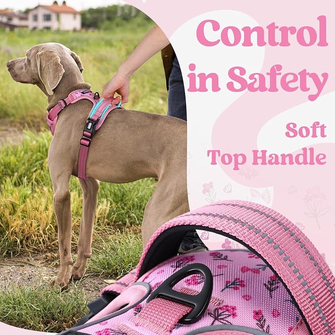 rabbitgoo Dog Harness for Large, No Pull Pet Harness - Image 5