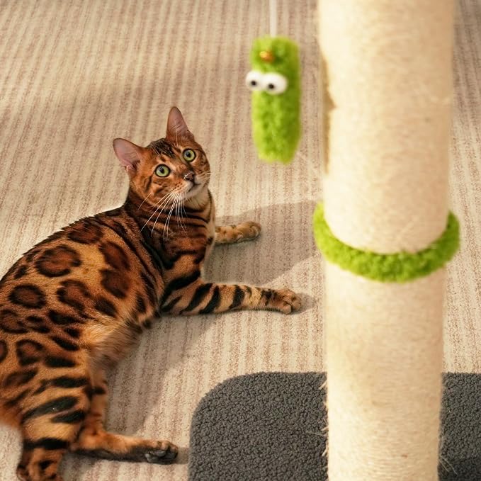 TINYBEAST 34.7" Tall Cat Scratching Post, 3 in 1 Sisal Cat Scratcher, Heavy - Image 8
