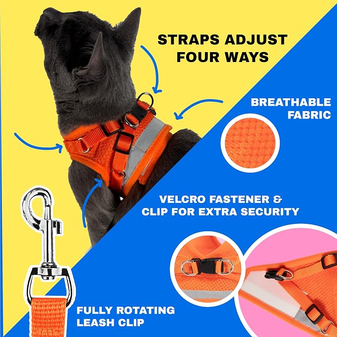 Travel Cat Harness and Leash Set - Image 3