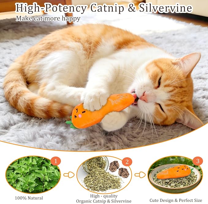Catnip Cat Toys, 5 Pack, Plush Cat Nip Toys - Image 2