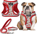 GAMUDA Small Dog Harness Collar and Leash Set, Step in No Chock No Pull Soft by GAMUDACollarsCollection